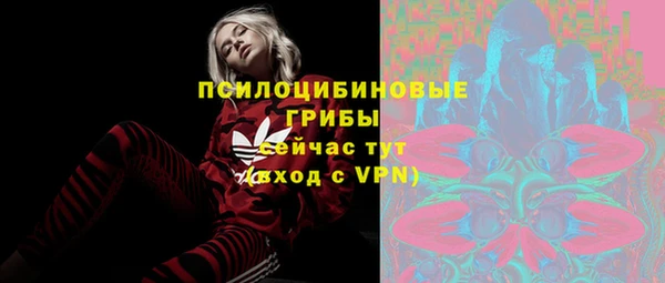 твердый Армянск