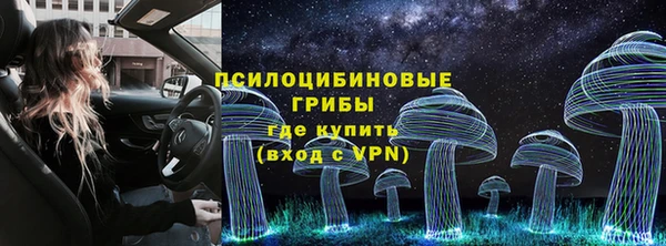 мет Аркадак