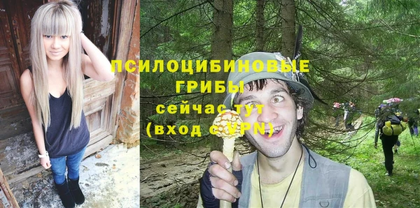 твердый Армянск
