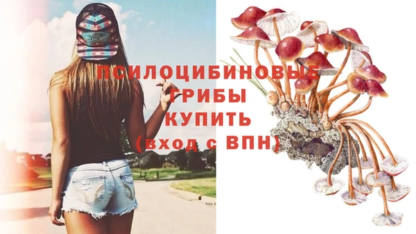 синтетический гашиш Арсеньев