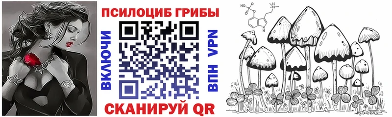 Псилоцибиновые грибы Psilocybe  Нязепетровск 